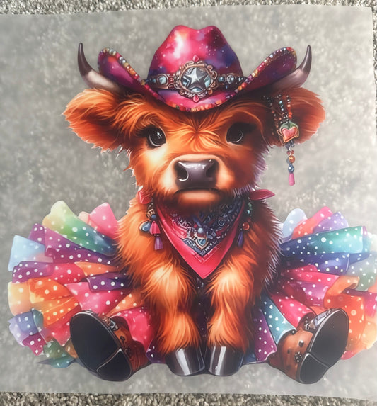 Cow 6